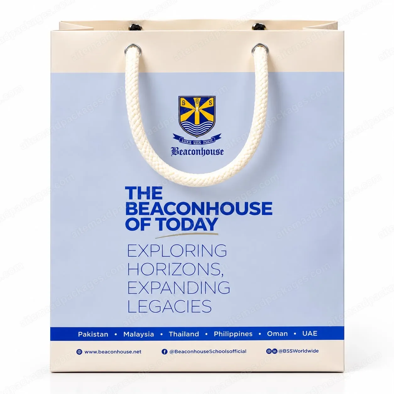 Printed Paper Carrier Bag with Rope Handles
